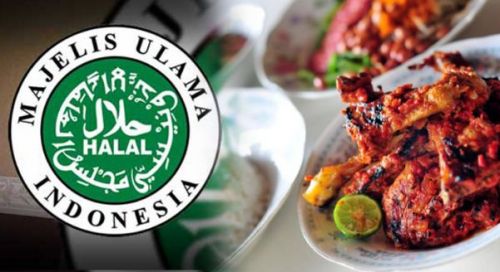 Majelis Ulama Indonesia, Tak Hanya Sekedar Sertifikat Halal