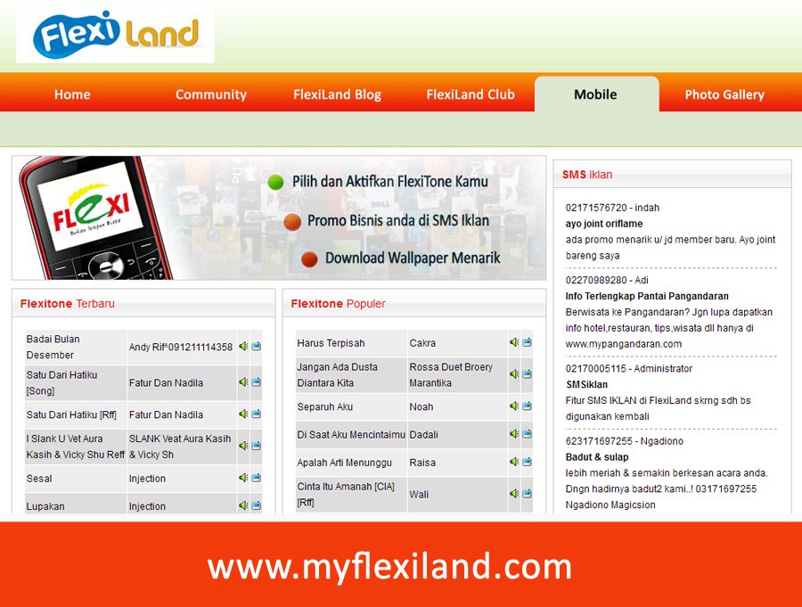 Website MyflexiLand