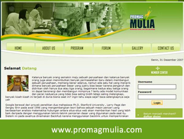 Website Promagmulia